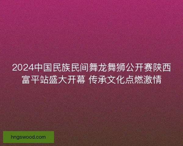 2024中国民族民间舞龙舞狮公开赛陕西富平站盛大开幕 传承文化点燃激情